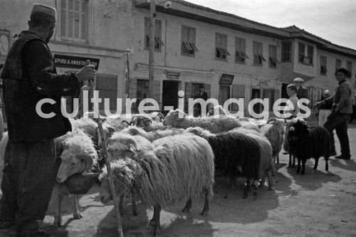 Albanien, Durrës, Durazzo. Aus der