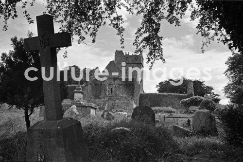 Irland, Muchross Abbey, Killarney National