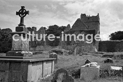 Irland, Muchross Abbey, Killarney National