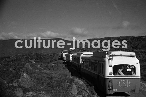 Irland, Glengariff. Aus der Sammlung