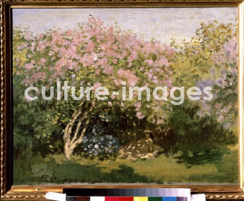 Claude Monet, Flieder auf der Sonne
