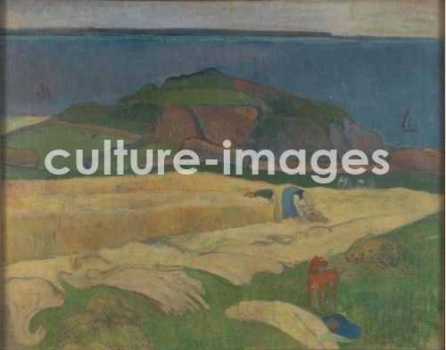 Paul Gauguin, Ernte