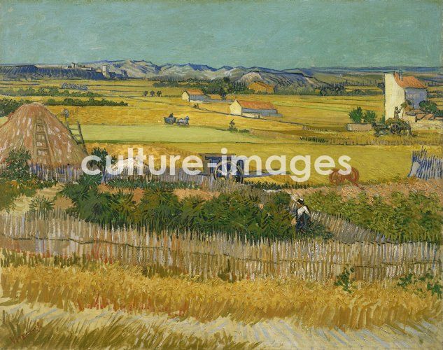 Vincent van Gogh, The harvest