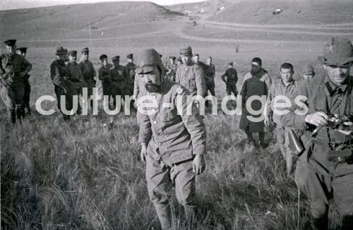 Die japanischen Kriegsgefangenen. Schlacht am Chalchin Gol