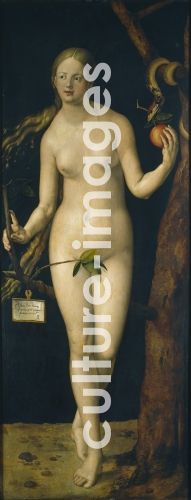 Albrecht Dürer, Eva