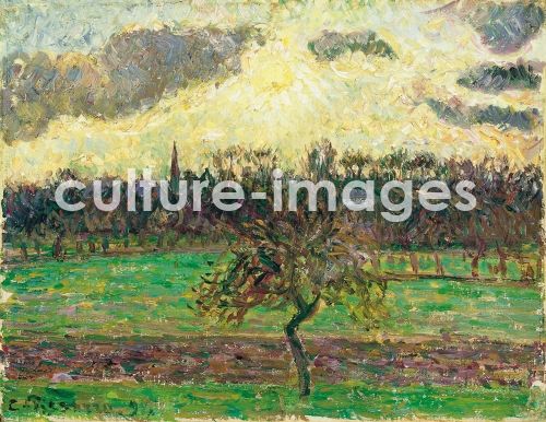 Camille Pissarro, Wiese in Èragny. Apfelbaum