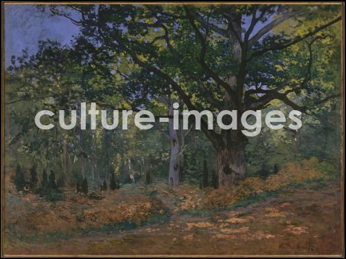 Claude Monet, Bodmer Eiche im Wald von Fontainebleau