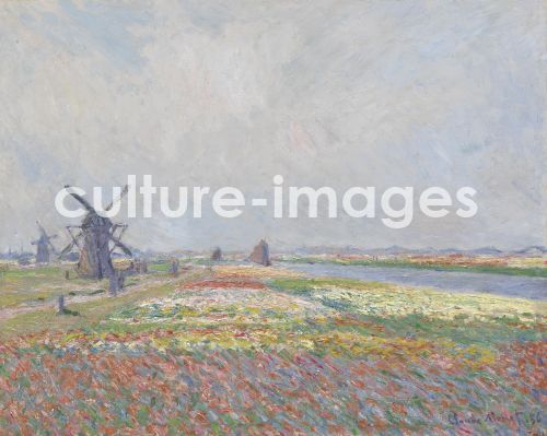 Claude Monet, Tulpenfelder in der Nähe von Den Haag