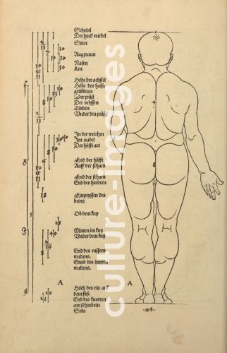 Albrecht Dürer, Illustration aus Vier Bücher von menschlicher Proportion
