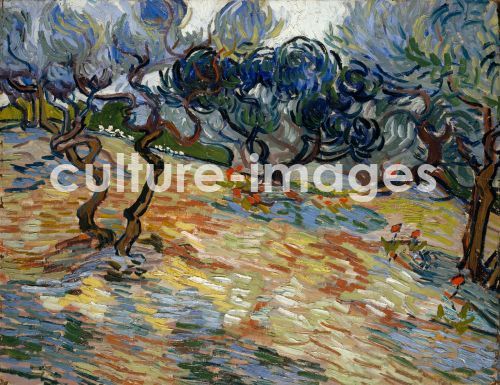 Vincent van Gogh, Gogh, Vincent, van (1853-1890), Olivenbäume, Öl auf Leinwand, Postimpressionismus, 1889, Holland, National Gallery of Scotland, Edinburgh.