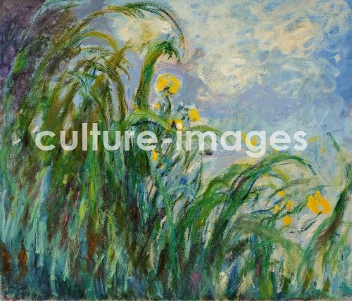 Claude Monet, Gelbe Irise