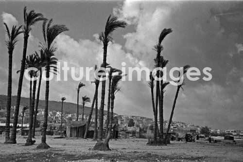 Palästina, Haifa, Israel. Aus der