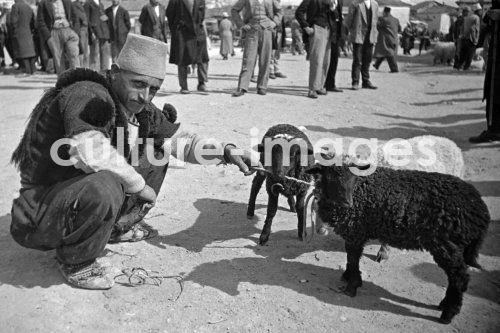 Albanien, Durrës, Durazzo. Aus der