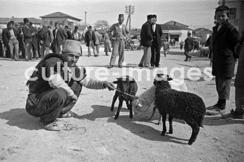 Albanien, Durrës, Durazzo. Aus der