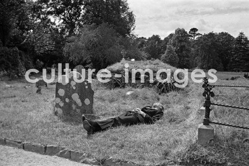 Irland, Muchross Abbey, Killarney National