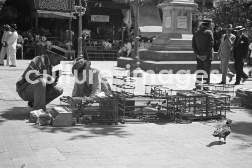 Venezuela, Caracas, Strassenszene. Aus der