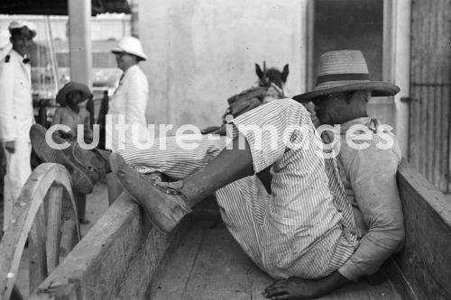 Bahamas, Nassau, Karibik, Schafmarkt, Aus