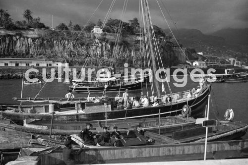 Portugal, Funchal, Madeira, Ufer, Küste,