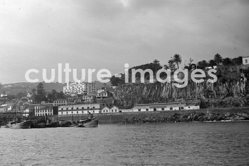 Portugal, Funchal, Madeira, Ufer, Küste,