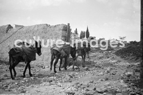 Israel, Jerusalem, Palästina, heilige Stadt,