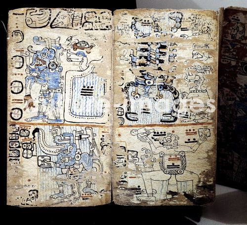 CODICES TRO - CORTESIANO