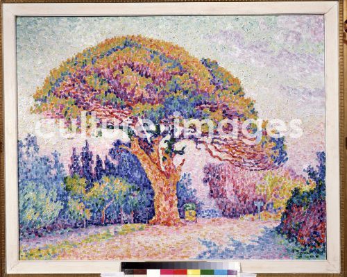 Paul Signac, Le Pin de Bertaud in Saint-Tropez, Signac, Paul (1863-1935)
