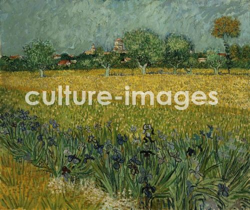 Vincent van Gogh, Feld mit Blumen in der Nähe von Arles