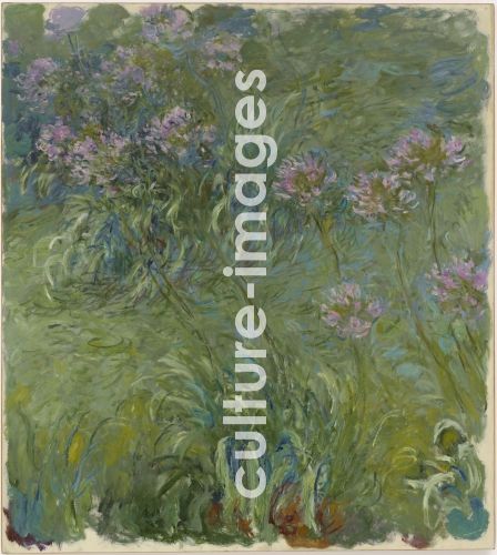 Claude Monet, Schmucklilien