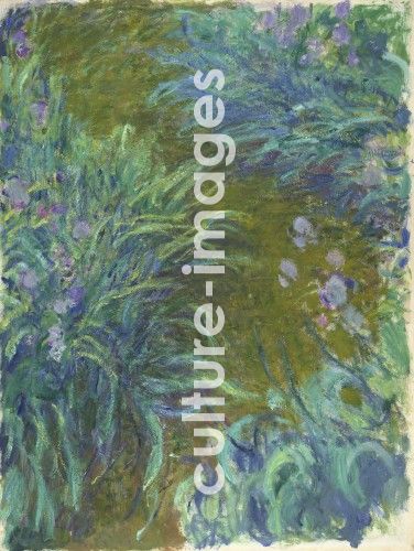 Claude Monet, Irise