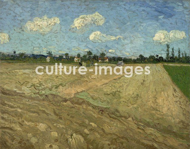 Vincent van Gogh, Ploughed fields (The furrows)