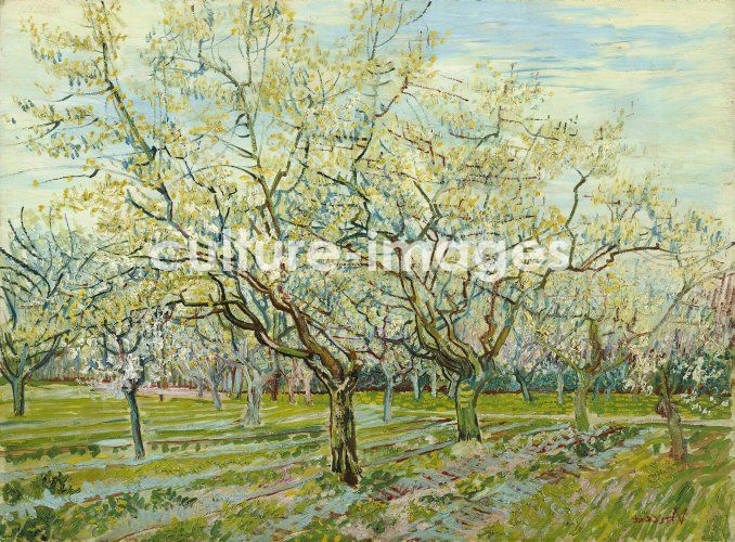 Vincent van Gogh, The  orchard