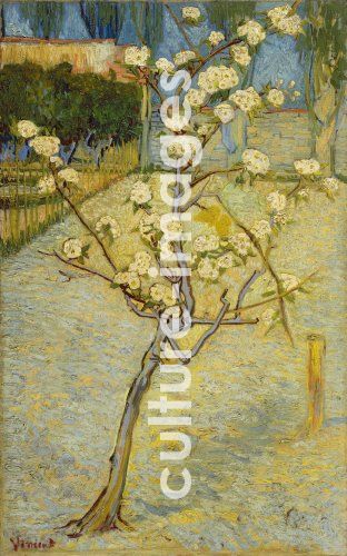 Vincent van Gogh, Small pear tree in blossom