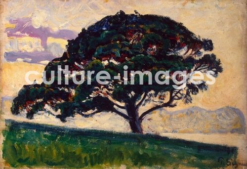 Paul Signac, Große Pinie, Saint-Tropez