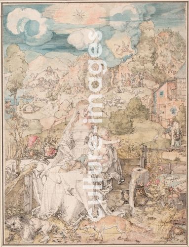 Albrecht Dürer, Mary among a Multitude of Animals