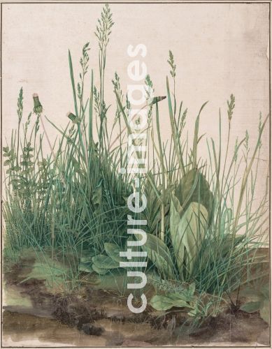 Albrecht Dürer, The Large Piece of Turf