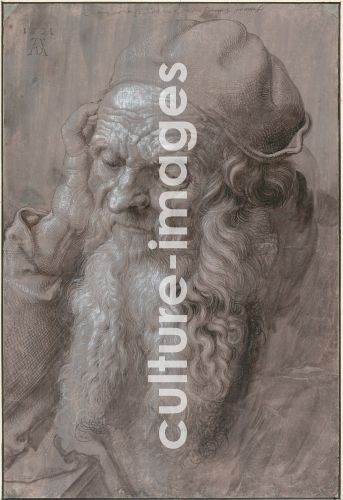 Albrecht Dürer, Head of an Old Man