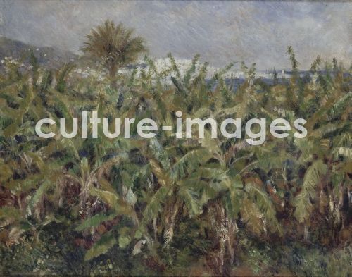 Pierre Auguste Renoir, Field of Banana Trees (Champ de bananiers)