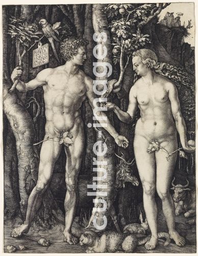 Albrecht Dürer, Adam and Eve