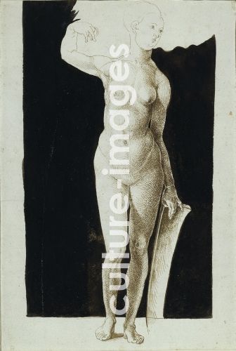 Albrecht Dürer, Proportion study of female nude with a shield