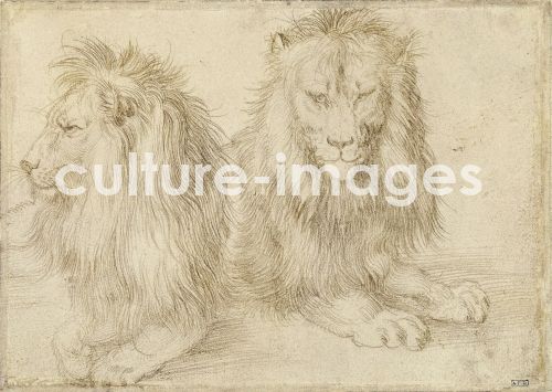 Albrecht Dürer, Two seated lions