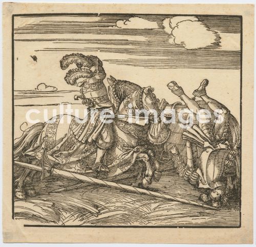 Albrecht Dürer, Tournament
