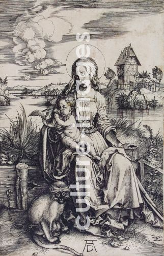 Albrecht Dürer, Madonna with the Monkey