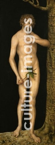 Lucas Cranach der Ältere, The Fall of Man: Adam