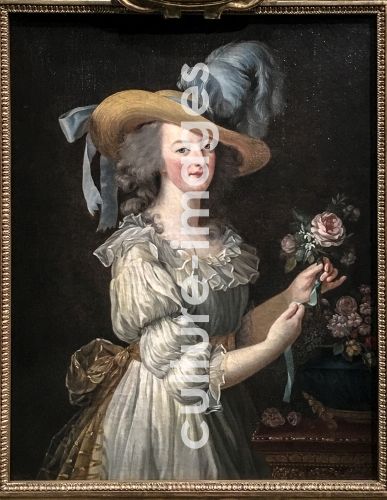 Marie Louise Elisabeth Vigée-Lebrun, Marie Antoinette in a Muslin dress