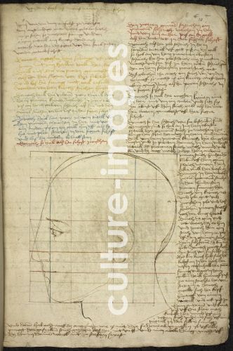 Albrecht Dürer, Construction of an ideal head