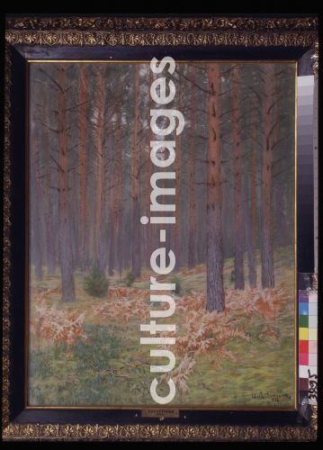 Isaak Iljitsch Lewitan, Ferns