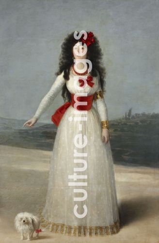 Francisco Goya, Portrait of María Cayetana de Silva (1762-1802), 13th Duchess of Alba