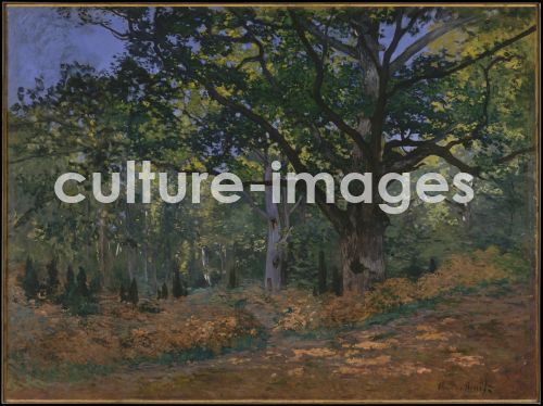 Claude Monet, The Bodmer Oak, Fontainebleau Forest