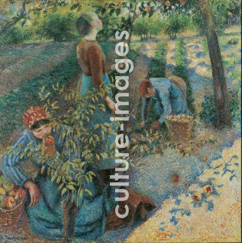 Camille Pissarro, Apple Picking