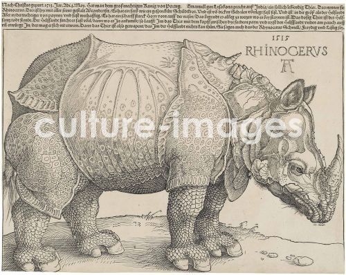 Albrecht Dürer, The Rhinoceros